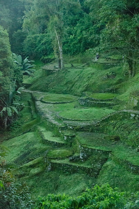 ciudad perdida trek