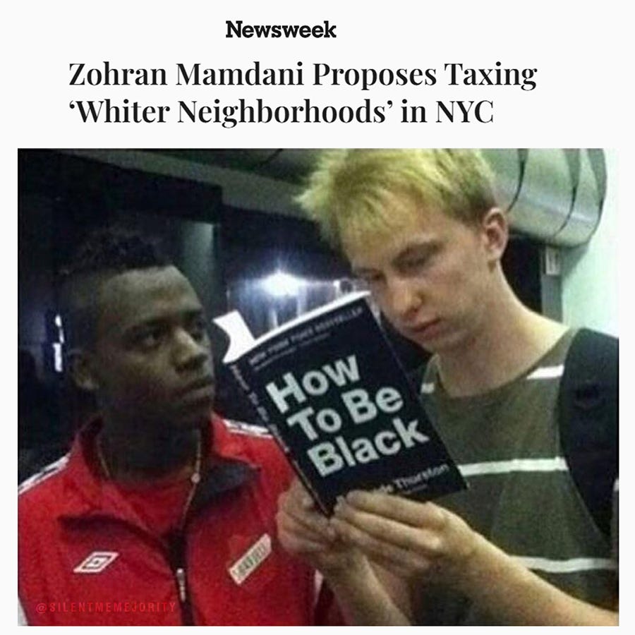 Newsweek headline states Zohran Mamdani proposes taxing whiter neighborhoods in NYC. Below it two men one with blond hair in gray shirt and the other with dark hair in red shirt sit close one holds and reads book titled How to Be Black by Ta-Nehisi Coates.
