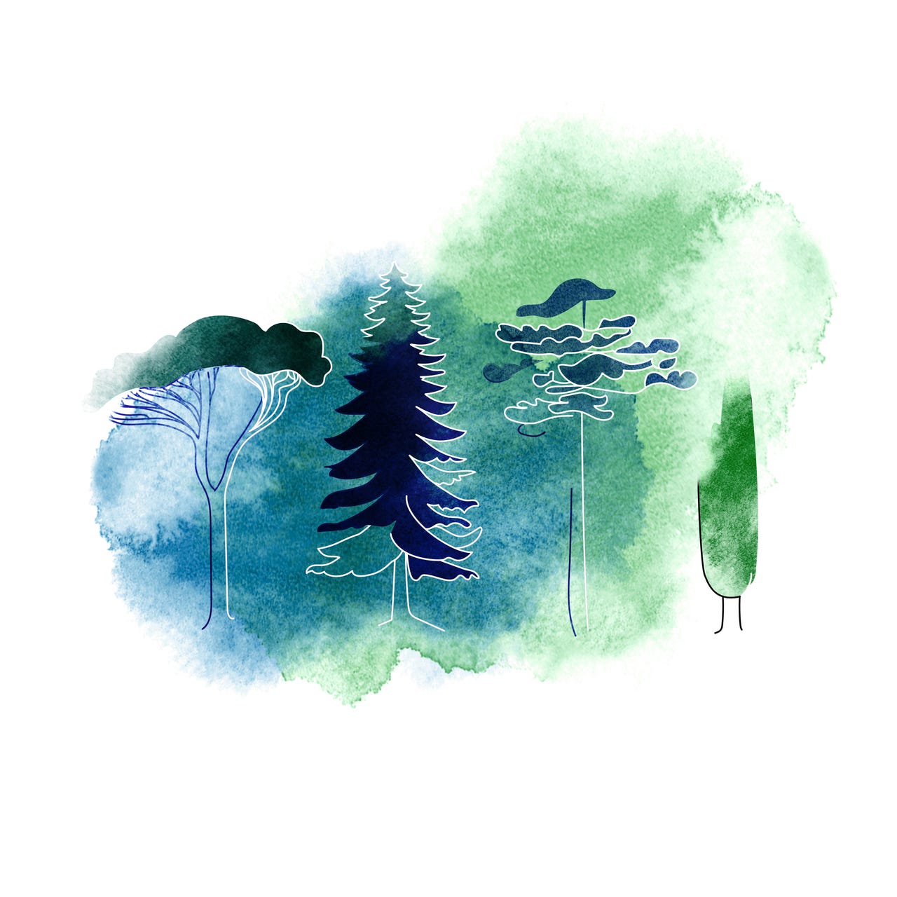 Organizations Like a Forest