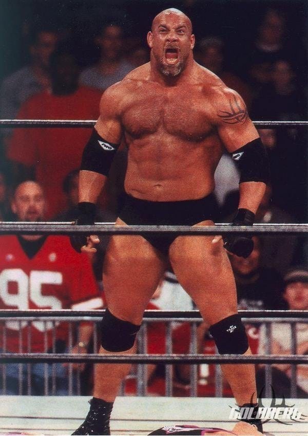 Wrestler Bill Goldberg from 1997 to 2025, 28 years later : r/90s Wrestler Bill Goldberg from 1997 to 2025, 28 years later : r/90s
