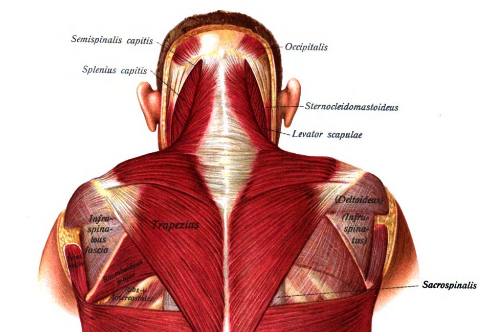 What if You Could Visualize Your Chronic Back Pain?