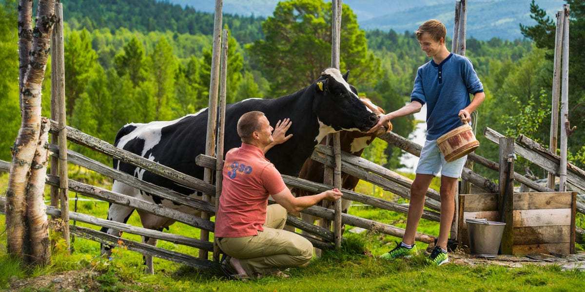 Farms in Norway | Stay at a farm | Farm holiday Farms in Norway | Stay at a farm | Farm holiday