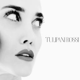 \ud83c\udf37Tulipani Rossi 