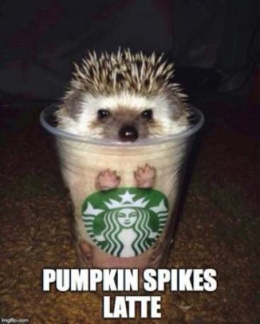 Pumpkin Spice Latte Meme