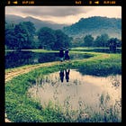 Raintown