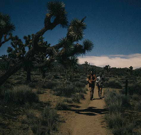 Photos to illustrate the stories below