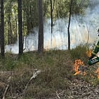 Smoke alert issued for Mount Barney planned burn