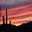 Baja Arizona's avatar
