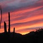 Baja Arizona's avatar