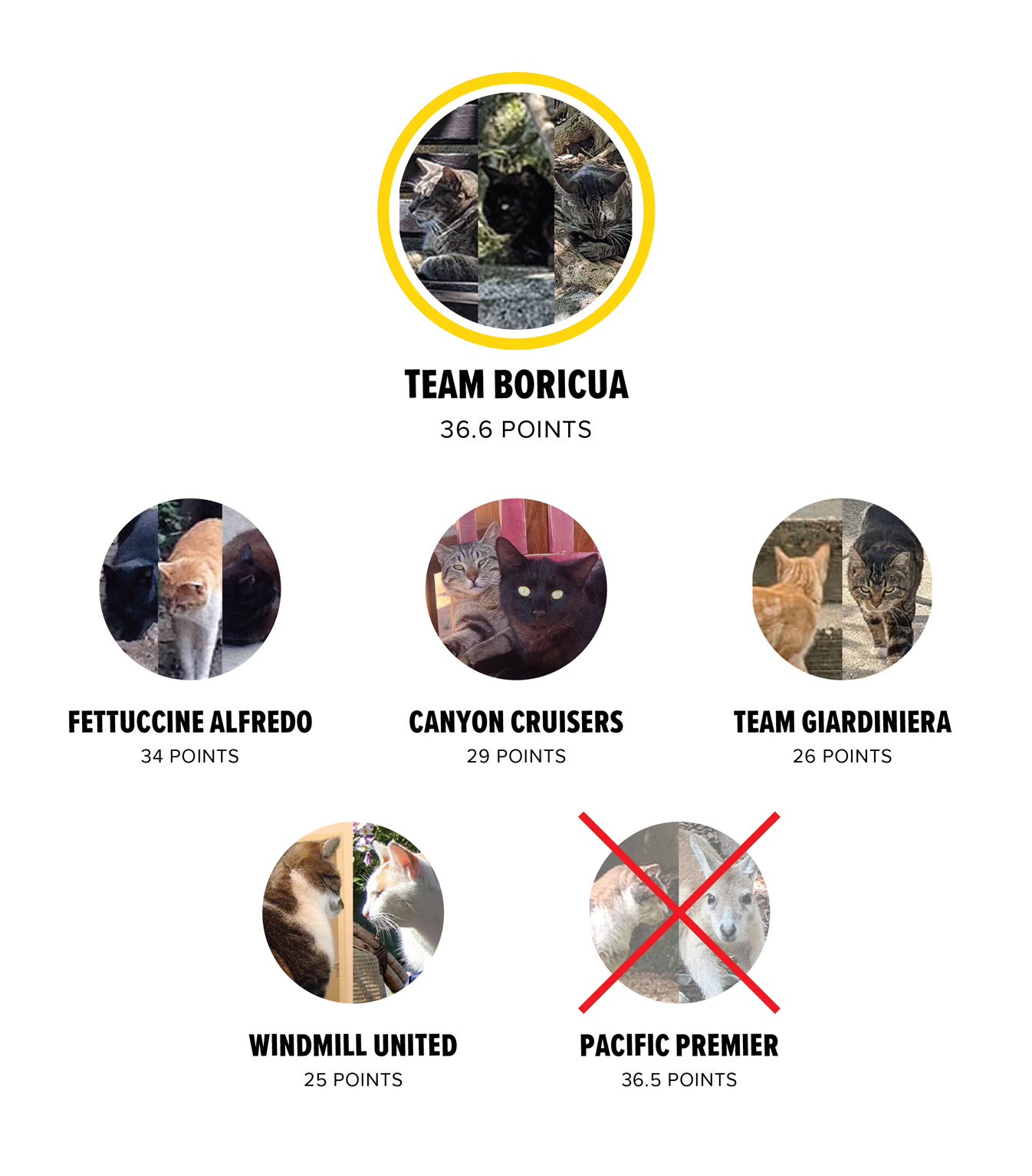 The Tour de Cats team scores that I made way more complicated that I needed to.