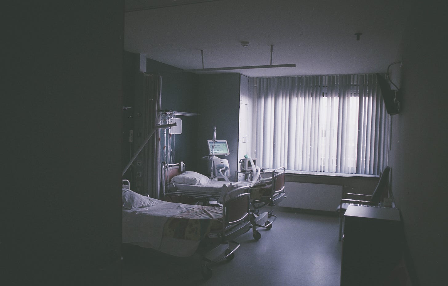 daan-stevens-282446-unsplash daan-stevens-282446-unsplash