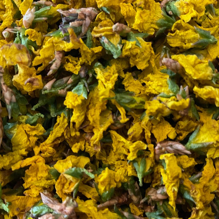 Bowl of dry yellow flowers with closeup showing green bases