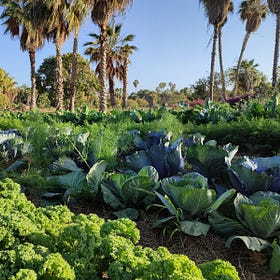 Biodynamics in the Dry Tropics
