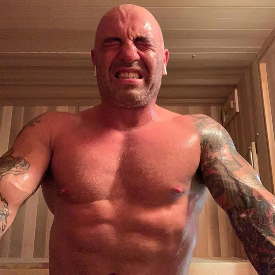 Joe Rogan's Body Transformation