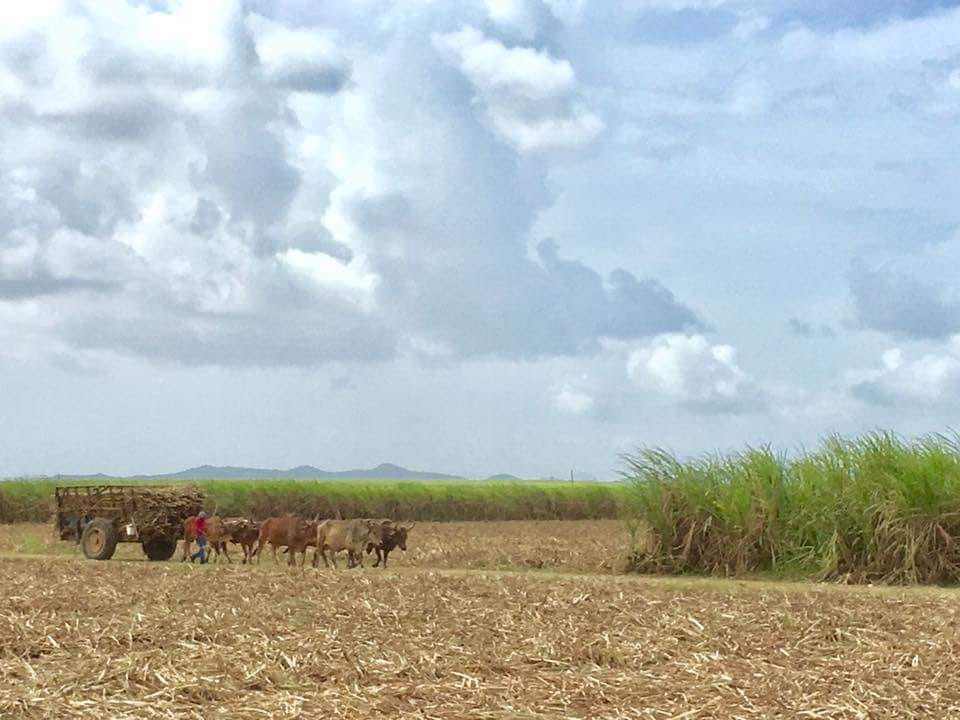 wp-1498525362973 image