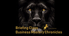 Briefing Class: Business Mastery Chronicles