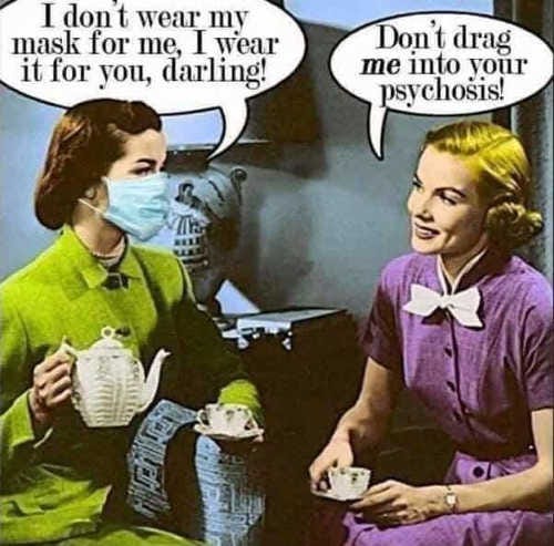 Covid-19 Facemask Meme Gallery - Politically Incorrect Humor