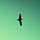 Mindfulness in Everyday Life