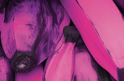 Übereinander liegend Bananen, rosa eingefärbt. (Ausschnitt des Covers vom Buch „Bye Bye Lolita“ von La Ruckpaul; Bild: Verlag Voland & Quist)