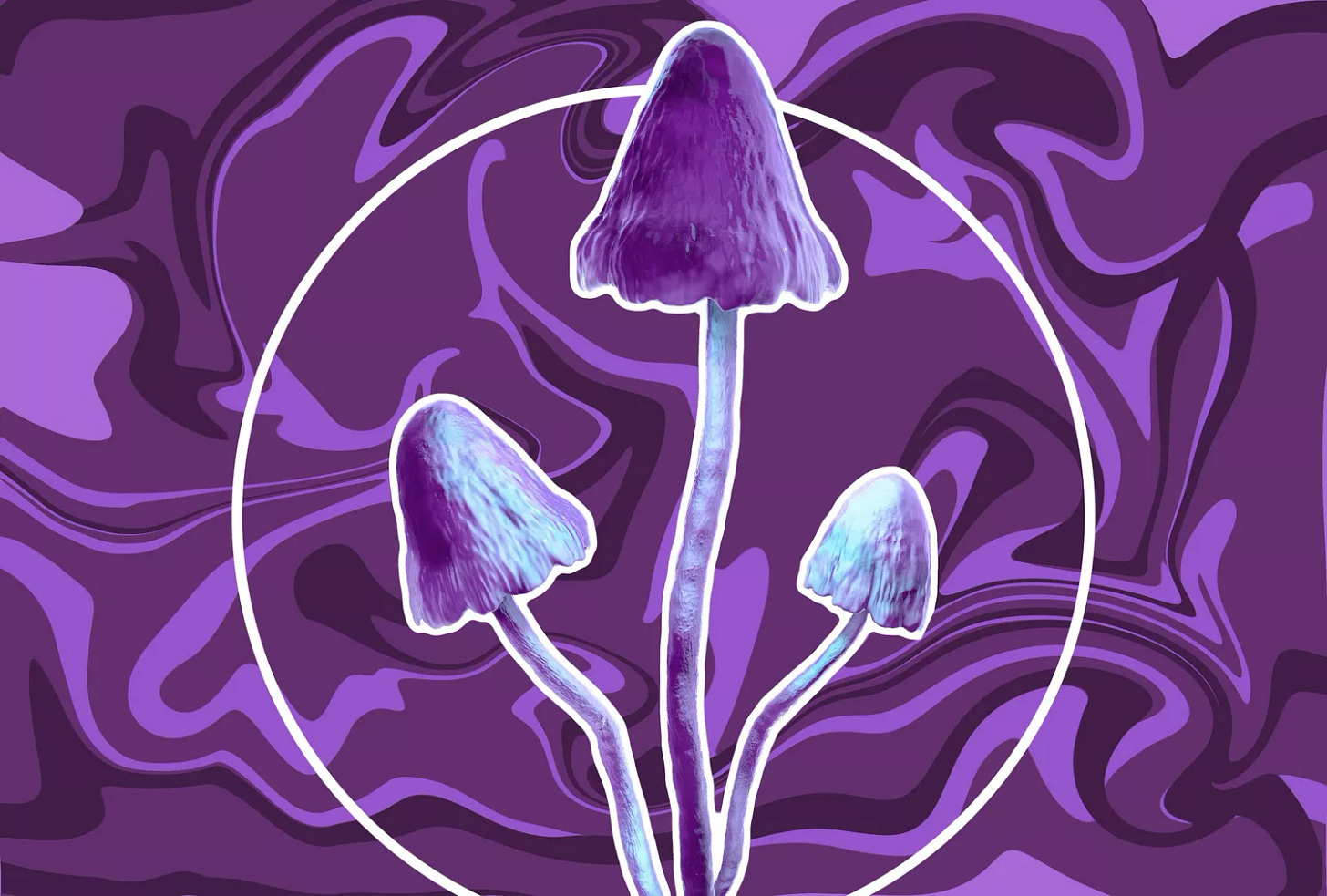 magic mushrooms