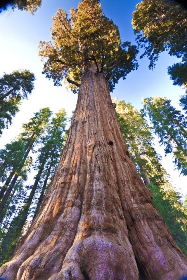 Gorgeous, awe-inspiring