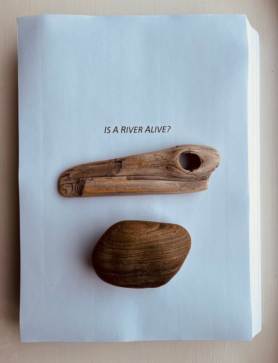 Robert Macfarlane on X: "Today I handed over the typescript of my new book Is A River Alive? to my editor & friend @HamishH1931. It felt—after 3+ yrs' work—like a big moment. Robert Macfarlane on X: "Today I handed over the typescript of my new book Is A River Alive? to my editor & friend @HamishH1931. It felt—after 3+ yrs' work—like a big moment.