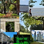 9 of the Best Parks and Green Spaces in Buenos Aires