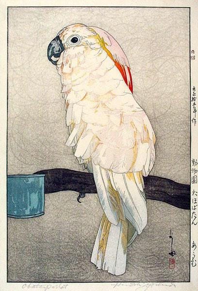 Obatan Parrot, 1926 - Hiroshi Yoshida