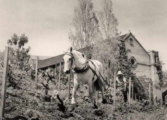 Story - Martin Ray Vineyards & Winery