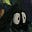 Ash's avatar