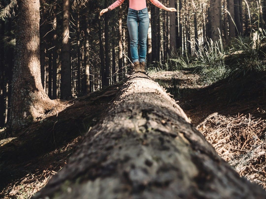 woman in blue denim jeans standing on brown tree log during daytime woman in blue denim jeans standing on brown tree log during daytime