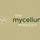 The Mycelium Mentor