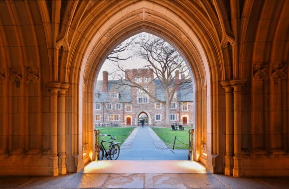 Conservative Israeli scholar at Princeton target of cancel culture campaign  | The College Fix