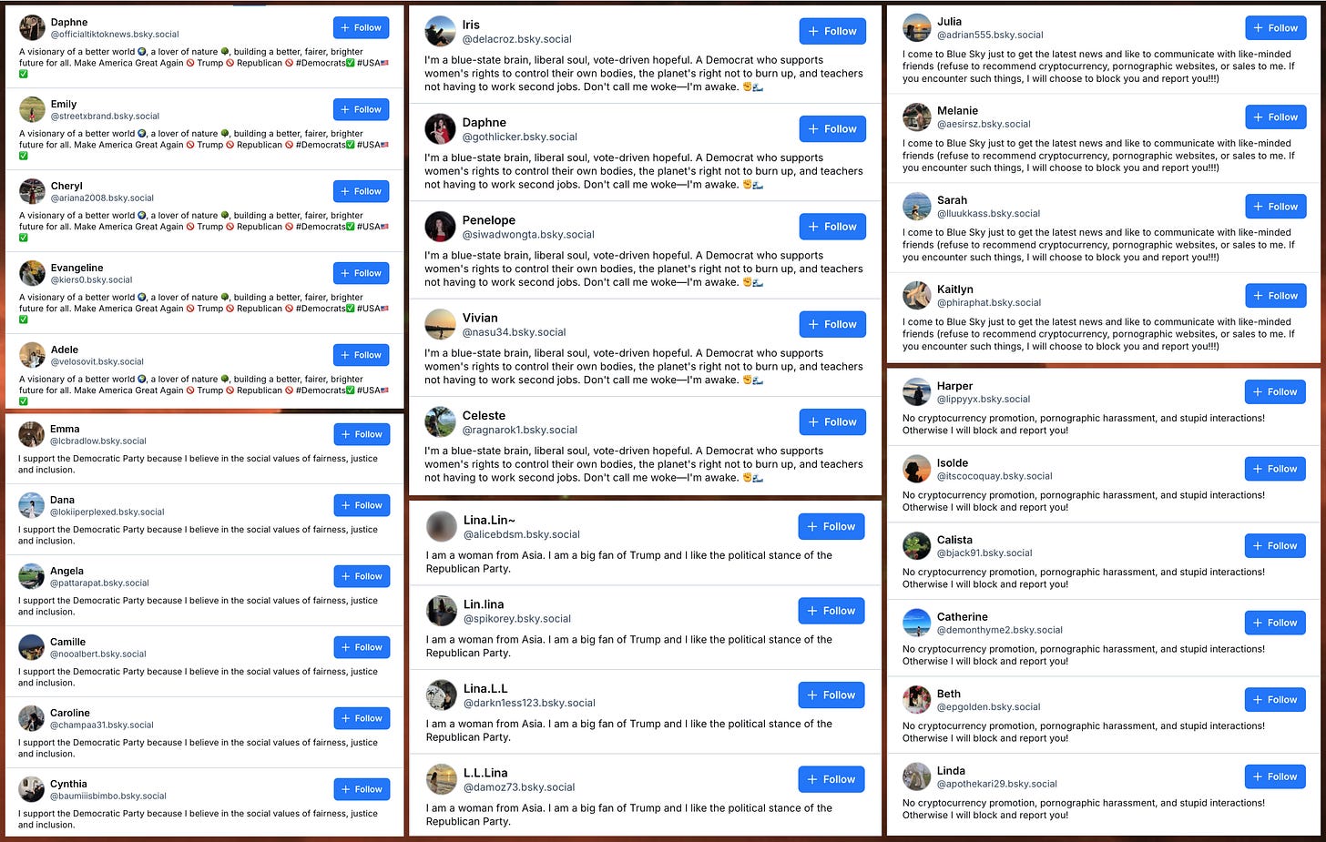 collage of search results for Bluesky accounts with repeated biographies collage of search results for Bluesky accounts with repeated biographies