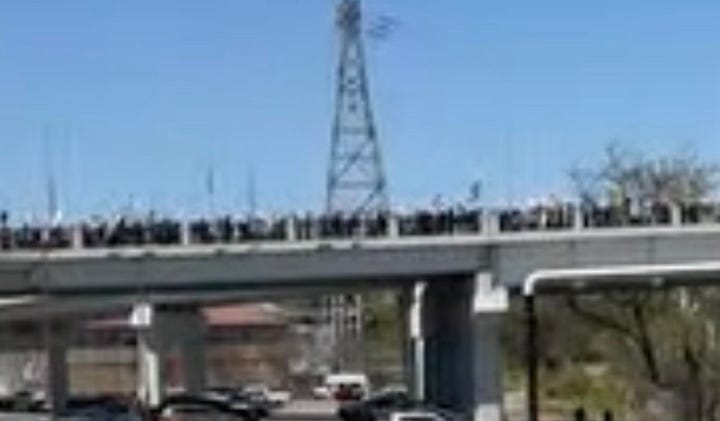 From top left: A group of marchers carrying American flags and No Kings signs, some of them wearing frog costumes. Marchers curve around a glass building. A highway overpass lined with protesters. a protester mid-march following a large crowd displays a sign to the camera "No Sign is Big Enough to List All The Reasons Why I'm Here."