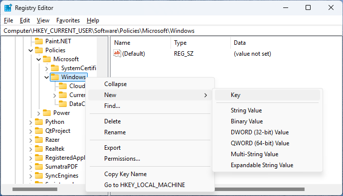 The Windows subkey in the Registry Editor.