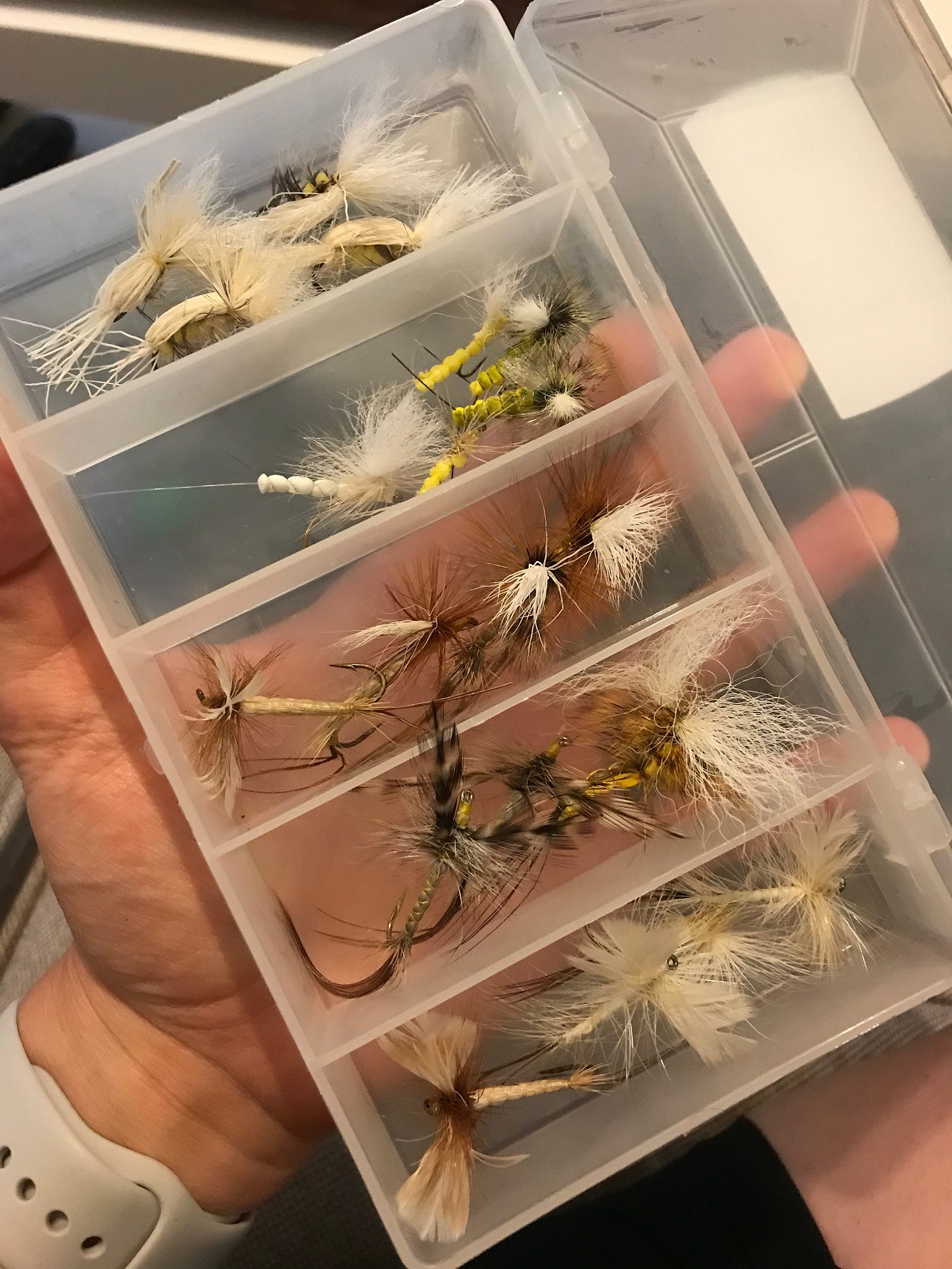 Box of fly fishing flies 