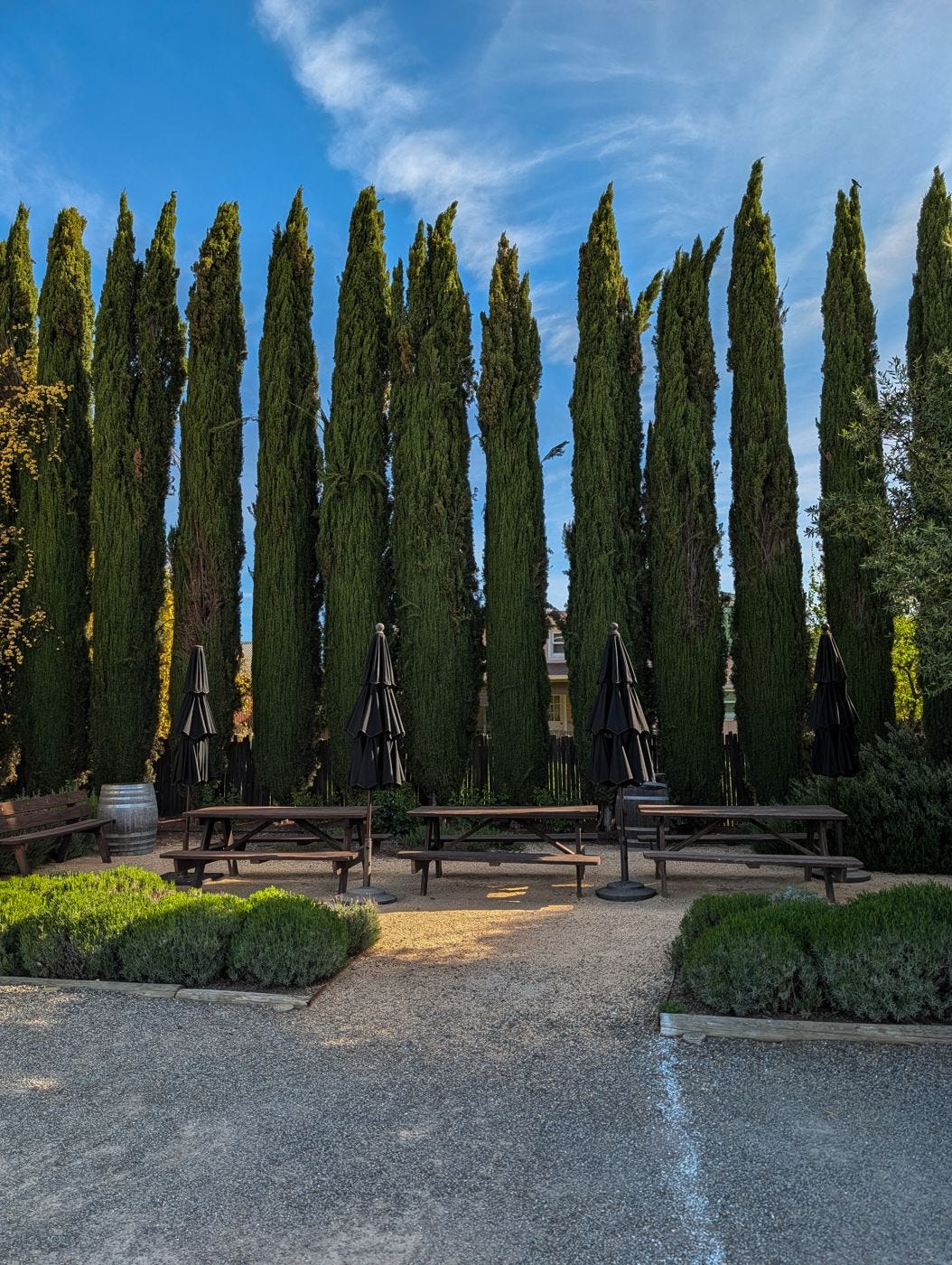 Unti Vineyards tasting area in Dry Creek Valley, Healdsburg