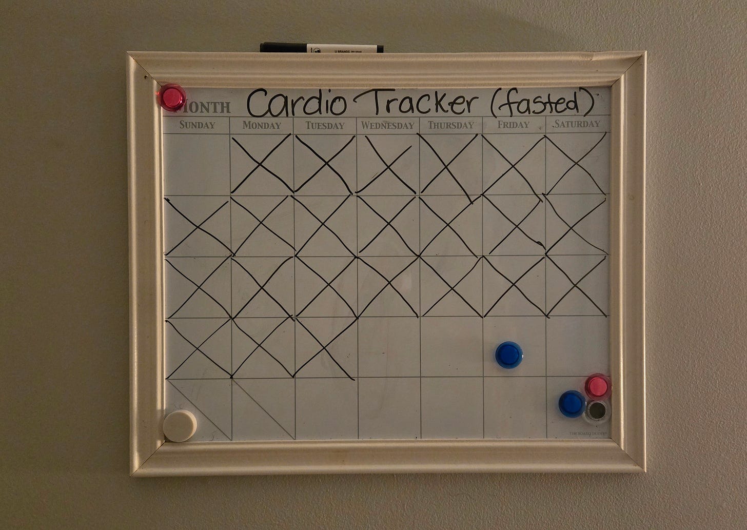 cardio tracker