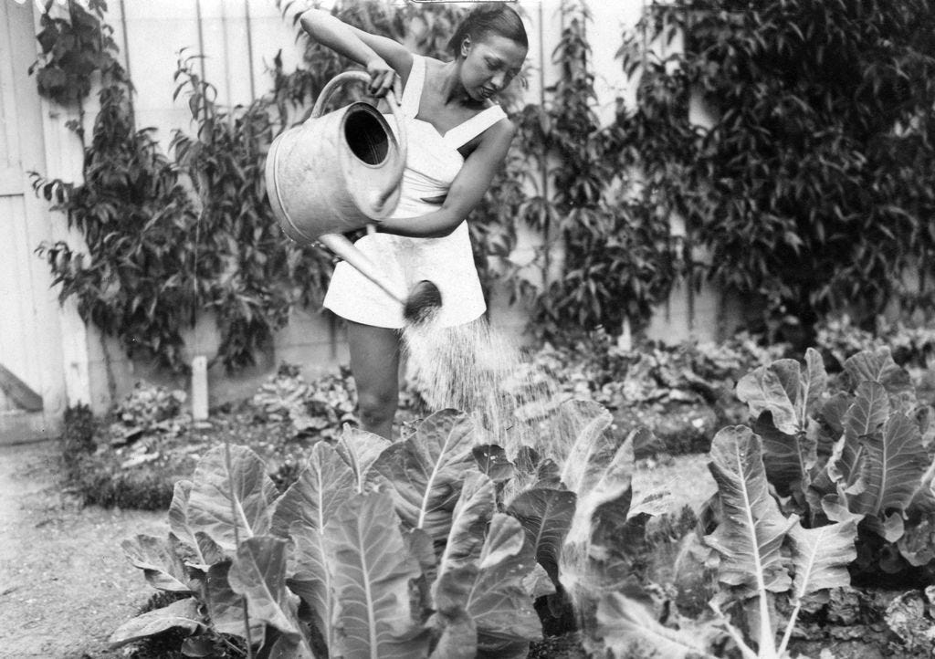 josephine baker watering the garden