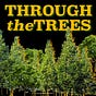 THROUGH the TREES