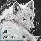 jills journals