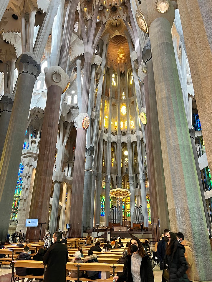 The Cathedral Made of Light