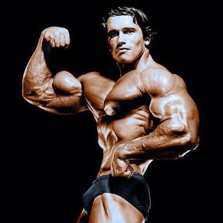 Arnold Schwarzenegger Was Never Only A Bodybuilder