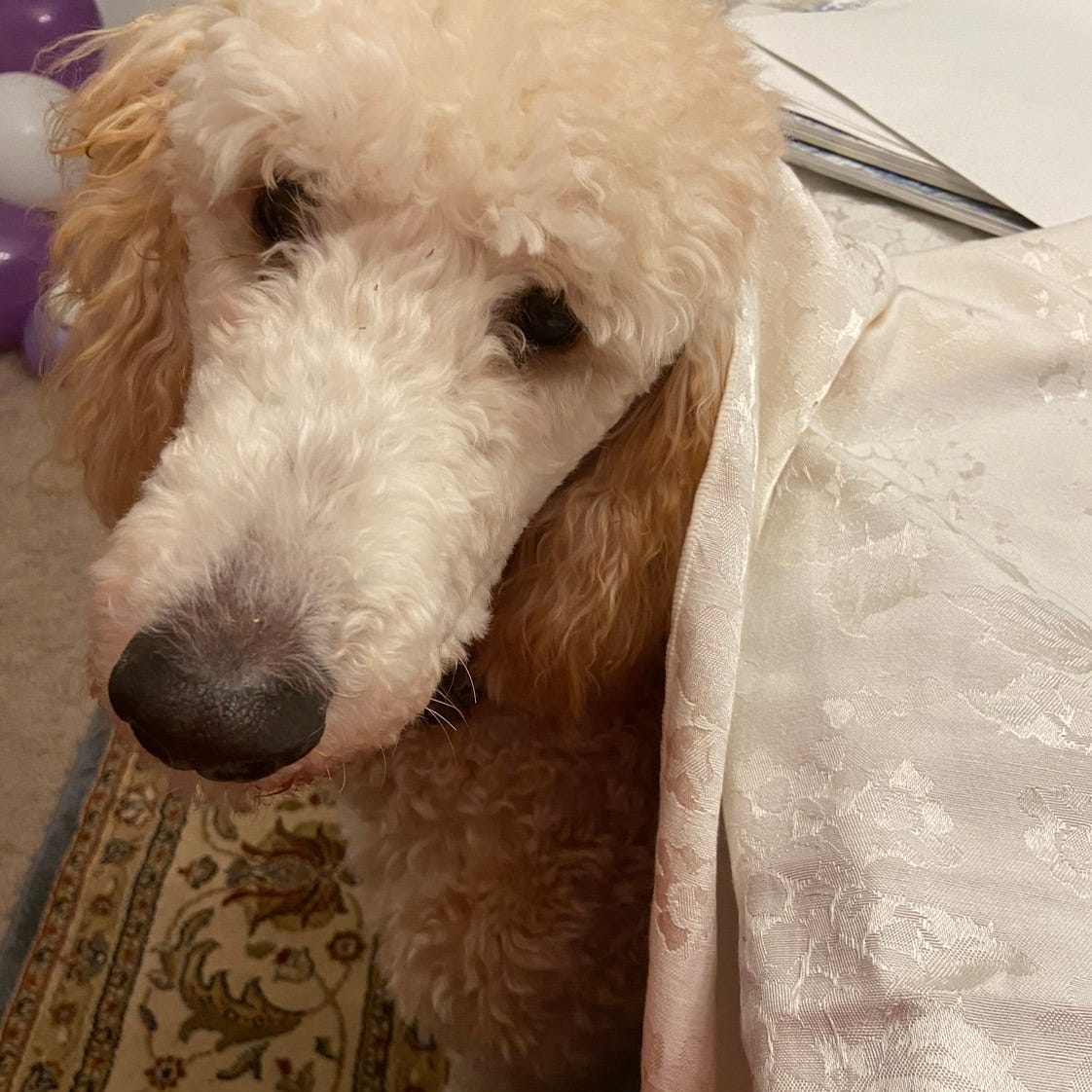 Artwork for Brian’s Substack