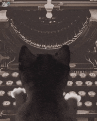Typing cat who is not a journalist meow meow meow Typing cat who is not a journalist meow meow meow