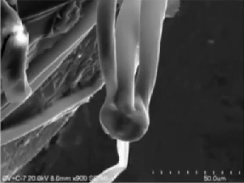 "THE THING" - Is It Real?