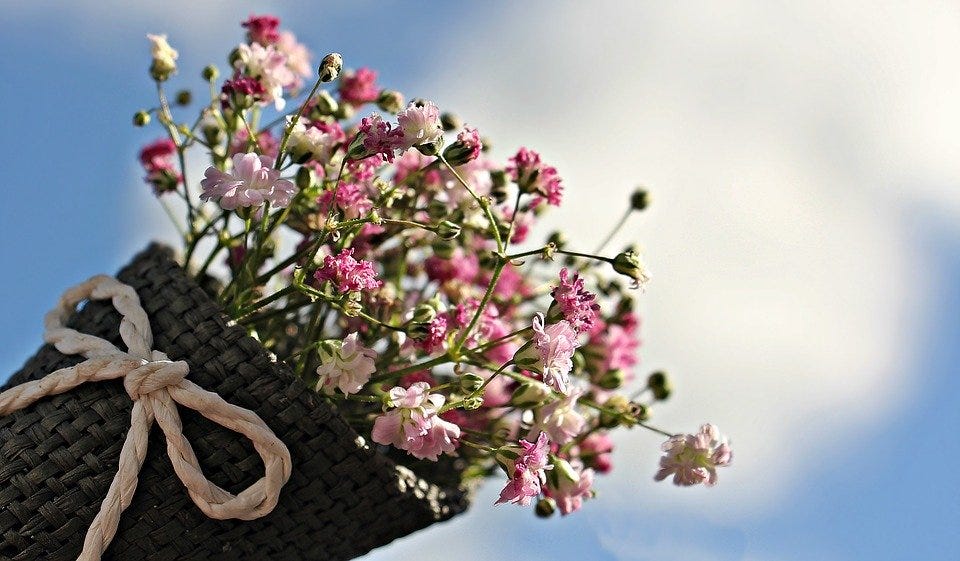 Gypsophila, Flowers, Ornamental Flower