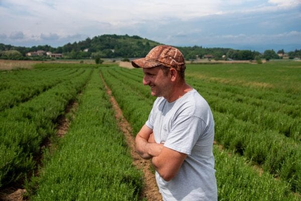 Samuel Gachon standing by his fields at his farm, EARL des Couriols.