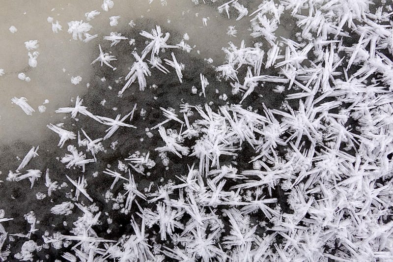 Star shaped ice crystals growing in galaxies on the frozen surface of a puddle